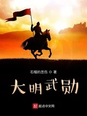 《大明武勋》小说封面