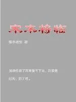 《宋末将临》封面