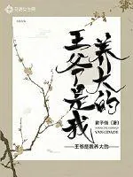 《王爷是我养大的》封面