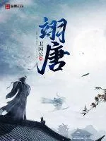 《翊唐》封面