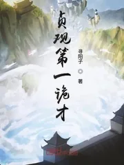 《贞观第一诡才》封面