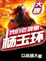 《我的老婆是杨玉环》封面