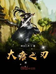 《大唐之刃》封面