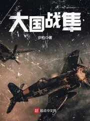 《大国战隼》封面