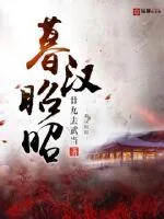 《暮汉昭昭》封面