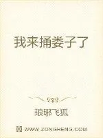 《我来捅娄子了》封面
