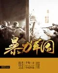 《抗日之暴力军团》封面