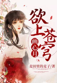 《欲上苍穹画心月》封面
