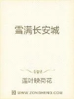 《雪满长安城》封面