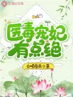 《医毒宠妃有点绝》封面