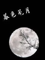 《暮色笼月》小说封面