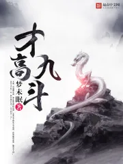 《才高九斗》封面
