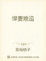 《悍妻难追》封面