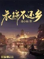 《衣锦不还乡》封面