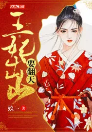 《王妃出山要翻天》小说封面