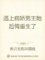 《遇上病娇男主她后悔重生了》封面