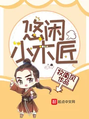《悠闲小木匠》封面