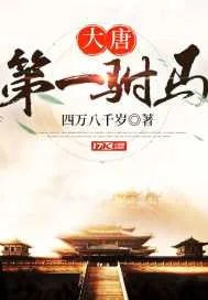 《大唐第一驸马》封面