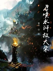 《召唤水浒救大宋》封面