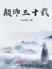 《颠沛三十载》封面