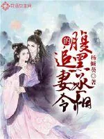 《腹黑丞相的追妻令》封面