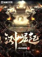 《汉中崛起》封面