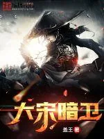 《大宋暗卫》封面