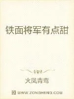 《铁面将军狂撒糖》小说封面