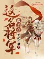 《这名将军温柔点》封面