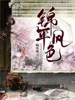 《锦年风色》封面
