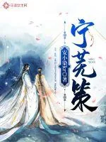 《宁芜策》封面