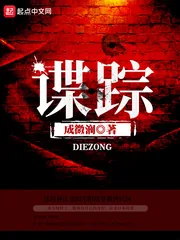 《谍踪》封面