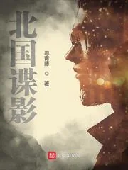 《北国谍影》封面