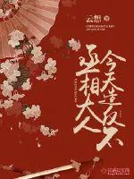 《丞相大人今天造反不》小说封面