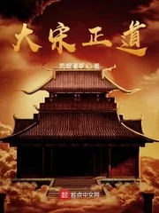 《大宋正道》封面