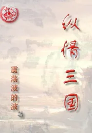 《纵情三国》封面