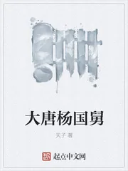《大唐杨国舅》封面