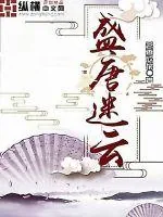 《盛唐迷云》封面