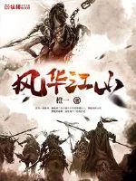 《风华江山》封面