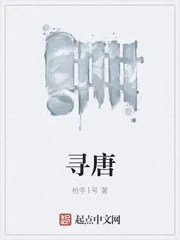 《寻唐》封面