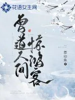 《曾道人间惊鸿客》封面