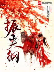 《振夫纲》封面