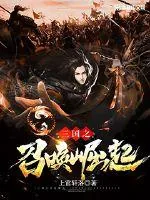 《三国之召唤崛起》封面
