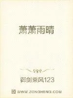 《萧萧雨晴》封面