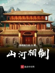 《山河相制》封面