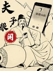 《夫子很闲》封面