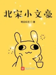 《北宋小文豪》封面