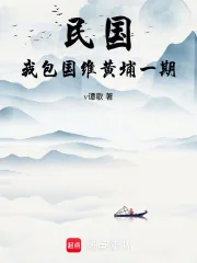 《民国，我包国维黄埔一期》小说封面