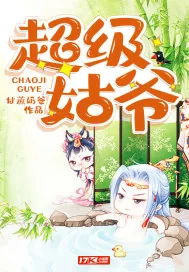 《超级姑爷》封面