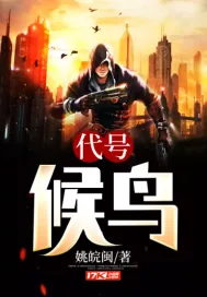 《代号候鸟》封面